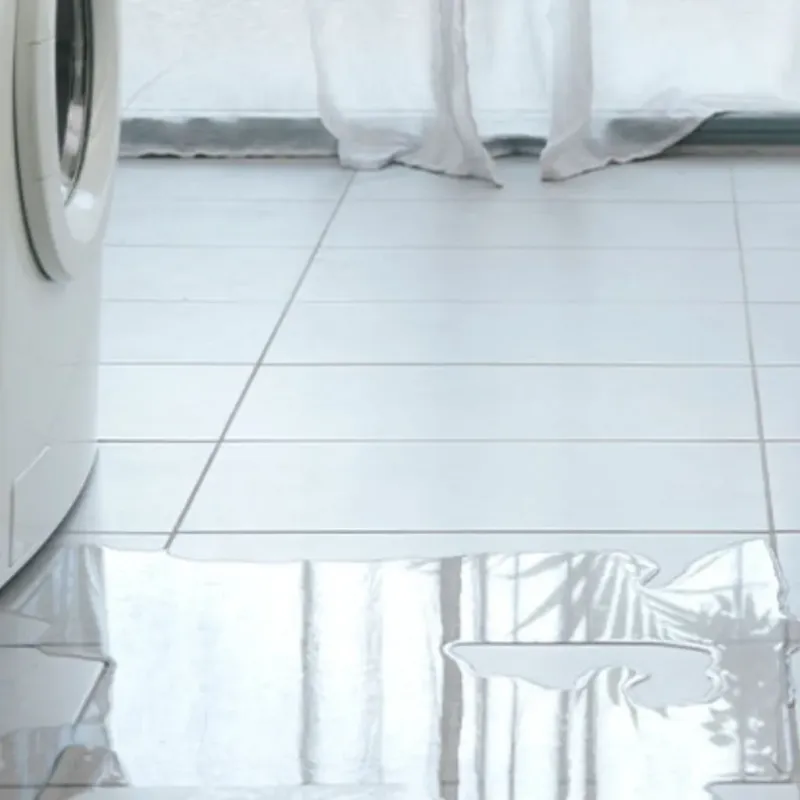 Appliance Leak Cleanup in Motley, VA