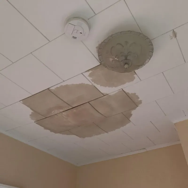 Ceiling Water Damage Repair in Motley, VA