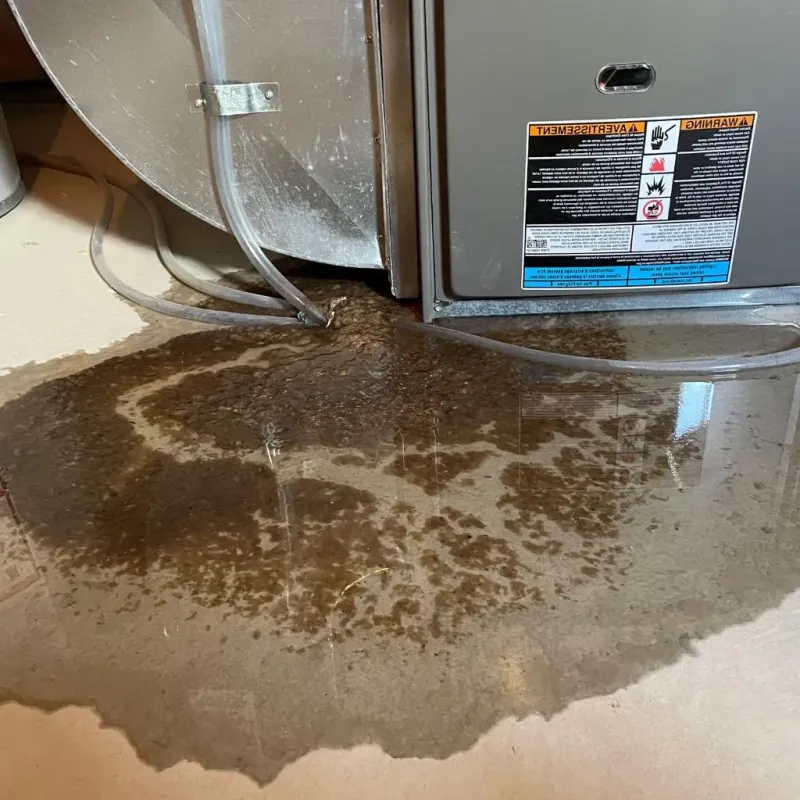 Pipe Burst and Leak Restoration in Motley, VA