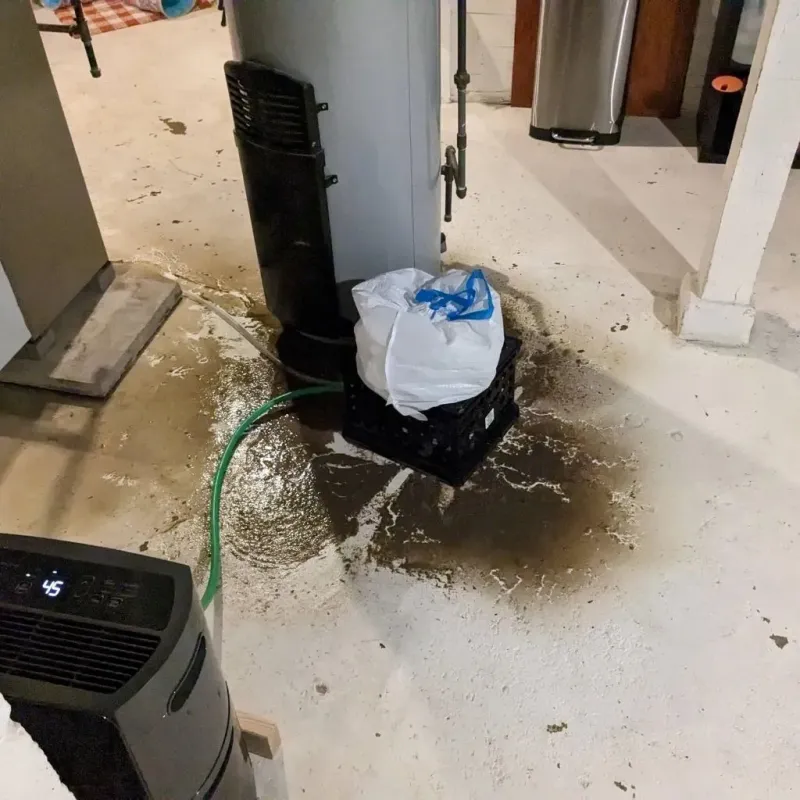 Sewage Backup Cleanup Service in Motley, VA